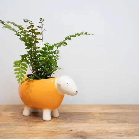 Redbanks * Ambleside