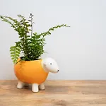 Redbanks * Ambleside