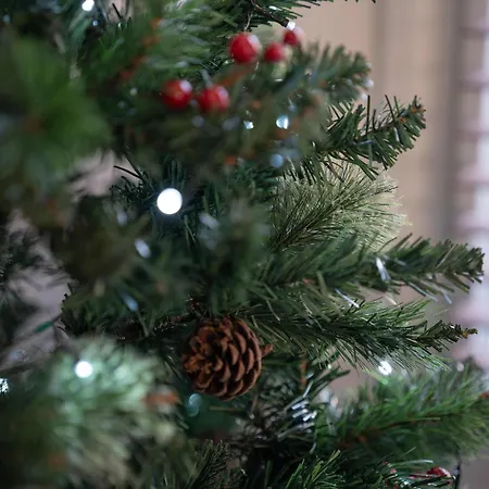 Διαμέρισμα Redbanks *